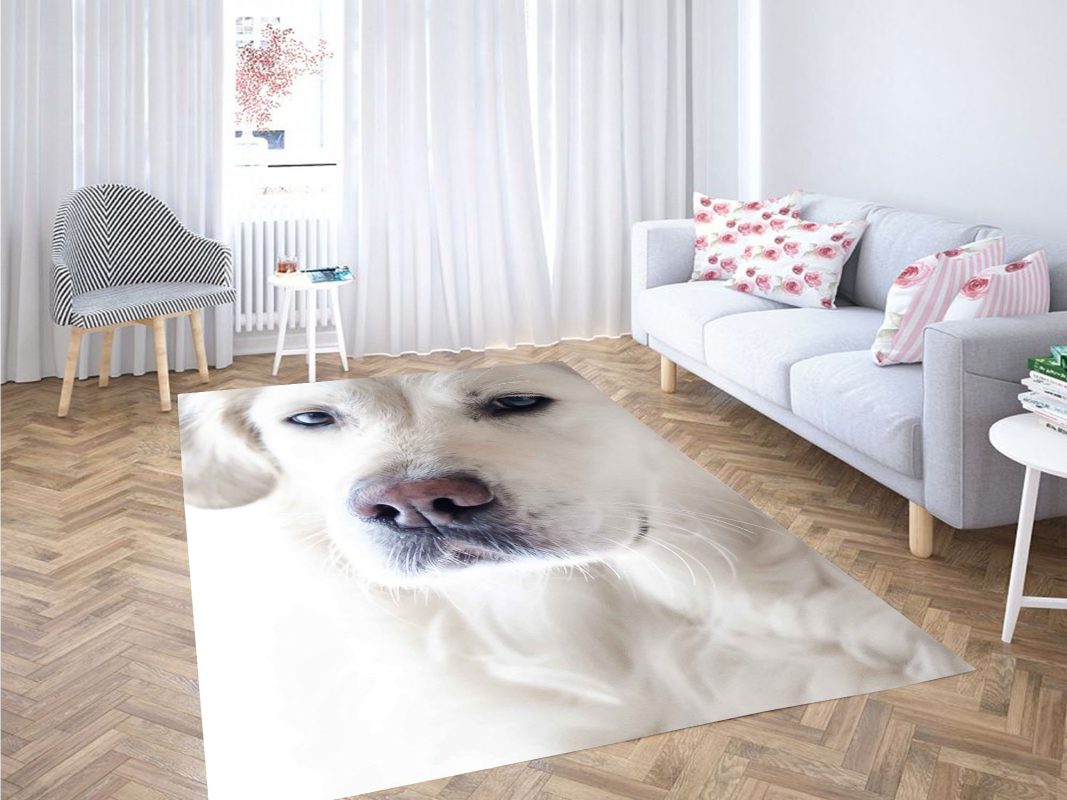 carpet rug